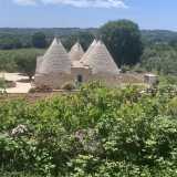 Qua e l� si fanno largo altri trulli stupendi, tra cui un complesso da favola restaurato per fini turistici...